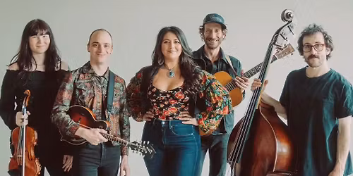 eTown Presents Never Come Down and Tonewood String Band
