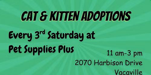 Cat and Kitten Adoptions