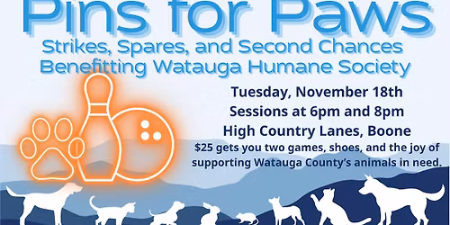 \ud83c\udfb3 Pins for Paws \ud83d\udc3e