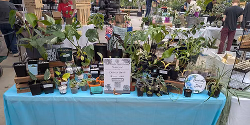 Warrenton Plant Swap @ Frozen Yogi!