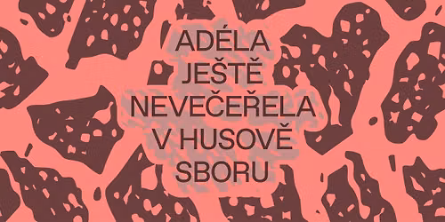 \ud83e\udeb4 Ad\u00e9la je\u0161t\u011b neve\u010de\u0159ela v Husov\u011b sboru \ud83e\udd69