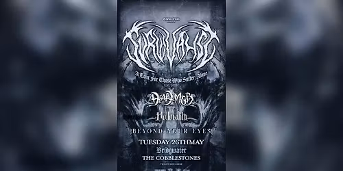 SURVIVALIST - The Cobblestones - 26\/05\/26