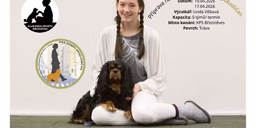 P\u0159\u00edprava na zkou\u0161ku Pes dobr\u00fd spoluob\u010dan