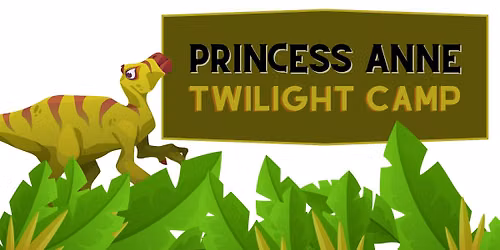 Princess Anne Twilight Camp