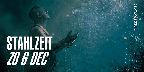 Stahlzeit | De Bosuil