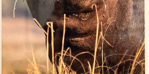 Getting Filled Up at Empty Cup