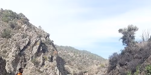 ΜΟΝΟΠΑΤΙ ΤΟΥ ΑΝΔΡΕΑ (ΓΡΑΜΜΙΚΟ)