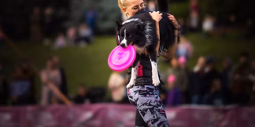 Ob\u00f3z dogfrisbee + dogfitness z Magd\u0105 Cholewick\u0105 i Kasi\u0105 Izbick\u0105 w Gajewnikach
