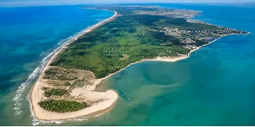 Festival de la Polyn\u00e9sie \u00eele d\u2019Ol\u00e9ron 2026 \ud83c\udf3a\u2600\ufe0f