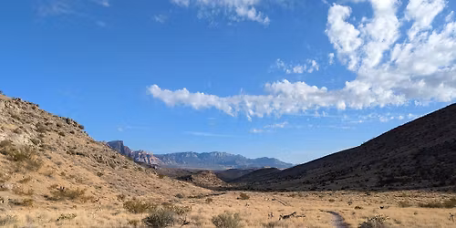 West Side Wednesday - Late Night