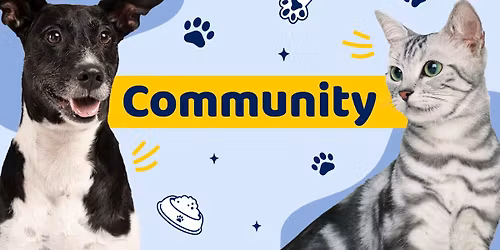 Community: Senior Pet Adoptions