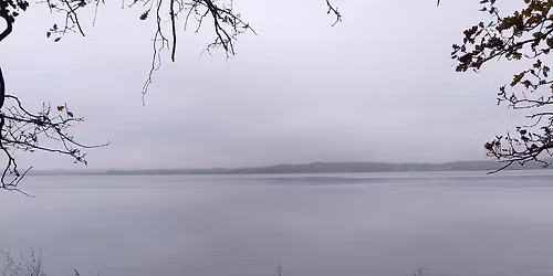 Sankt Hans-arrangement