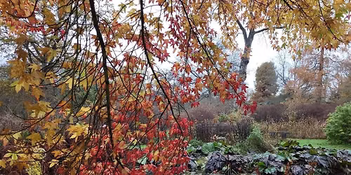 Autumn Walk and Lunch
