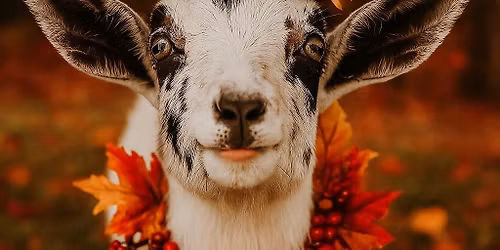 Kids Thanksgiving drop off camp \ud83e\udd83 \ud83e\udd99