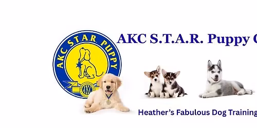 AKC S.T.A.R Puppy class