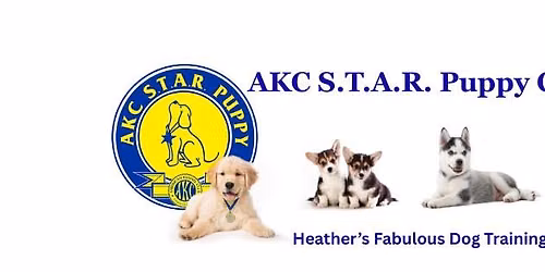 AKC S.T.A.R Puppy class 