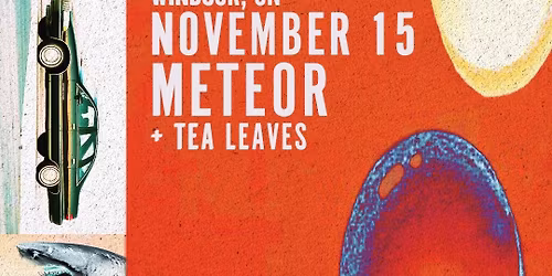 Whitney K \/ Tea Leaves at Meteor