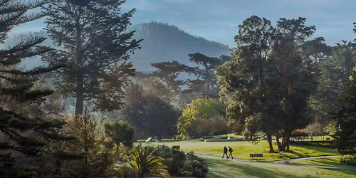 Parking M. Butterfly - San Francisco