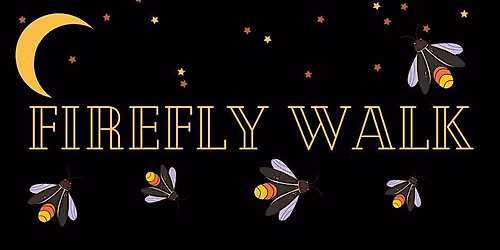 Firefly Walk at Pittock Conservation Area