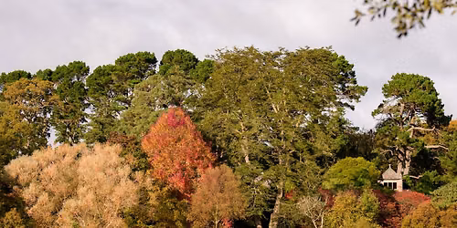 Mount Stewart Self-Guided Autumn Lake Walk