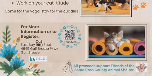 Kitten Yoga
