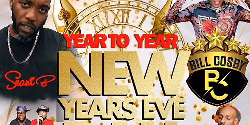 Year To Year New Year's Eve Ball 2025