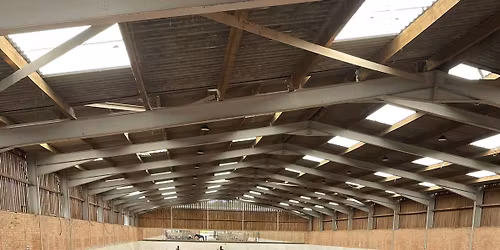 liberty Demo day with Rachael Shawyer 4 star parelli professional educational 