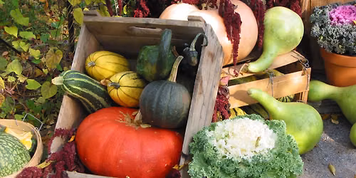 Fall Vegetable Gardening