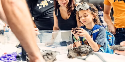 National Fossil Day