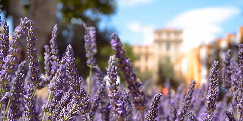 LebensKunstMarkt 2026