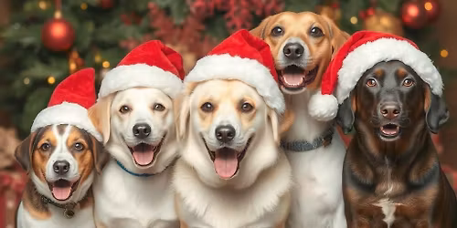 Kar\u00e1csonyi \u00c9vz\u00e1r\u00f3 vacsora