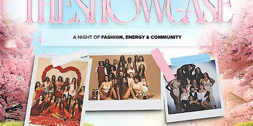 Model Up Next 401 Next In Line Showcase