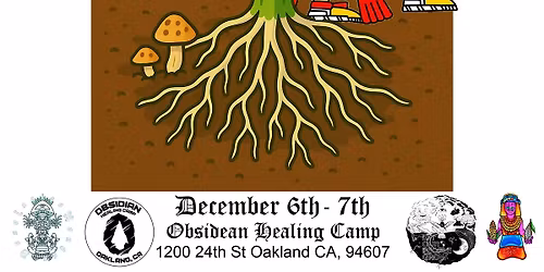 Ma\u00edz y Mycelium