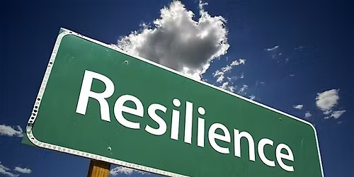 Bounce Forward: Unlocking Resilience Through Uncertainty