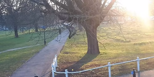 Ealing Walks with a Difference: Around Ealing Common
