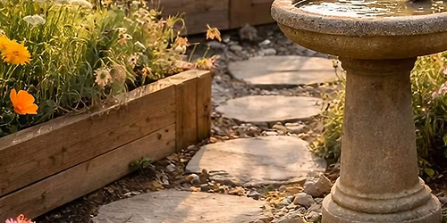 Meadowscaping for Small Spaces - Campbell