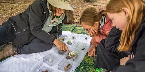 In het spoor van de Ranger: herfsteditie