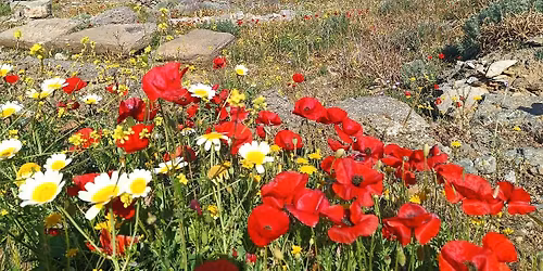 \ud83d\udca2 \u039a\u03cd\u03b8\u03bd\u03bf\u03c2 \u03c4\u03bf \u03c3\u03c4\u03bf\u03bb\u03af\u03b4\u03b9 \u03c4\u03c9\u03bd \u039a\u03c5\u03ba\u03bb\u03ac\u03b4\u03c9\u03bd \ud83c\uddec\ud83c\uddf7