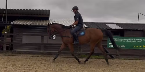 Alec Miles Jumping \/ Flatwork Clinic