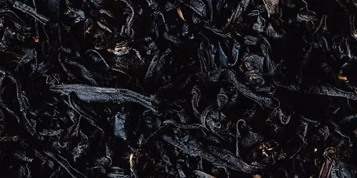 {VIRTUAL} TASSEOMANCY 101