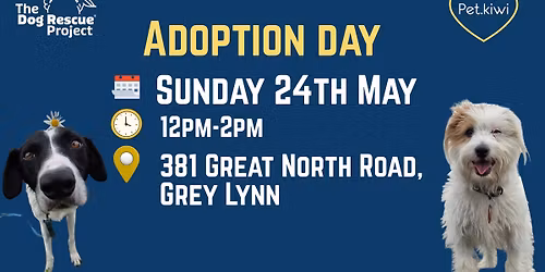 Adoption day at Pet.kiwi