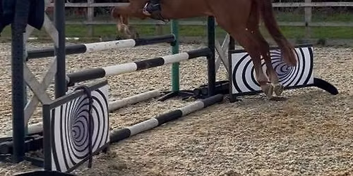 Unaffiliated Show jumping