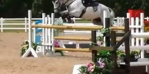 Unaffiliated Show jumping