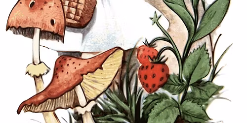 Teaterskolan i Borg\u00e5 presenterar: R\u00f6dluvan the Wolffighter