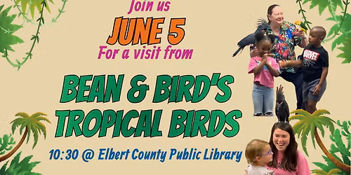 Tropical Birds with Bean & Bird
