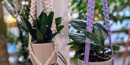 Make a Macrame Plant Hanger: Get Knotty!
