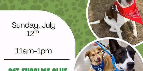 Pet Supplies Plus Dog Adoption Event 