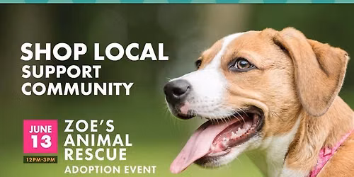 Zoe\u2019s Dog Adoption Event
