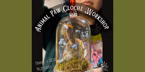 Animal Paw Cloche Workshop: Make a Dome Display using REAL Mummified Paws!