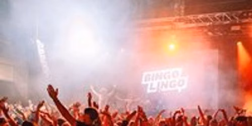 Bingo Lingo - Deck The Balls